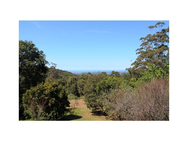 Tamborine Mountain QLD 4272