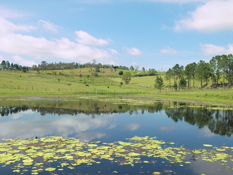 233 Boyland Road, Boyland QLD 4275