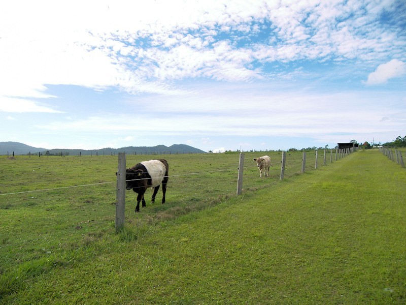 233 Boyland Road, Boyland QLD 4275