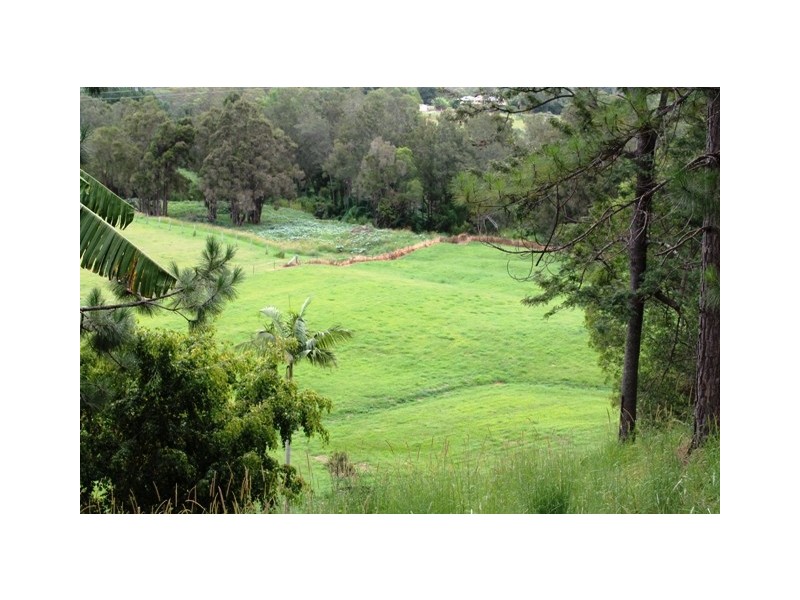 80 Mungindie Court, Mount Nathan QLD 4211