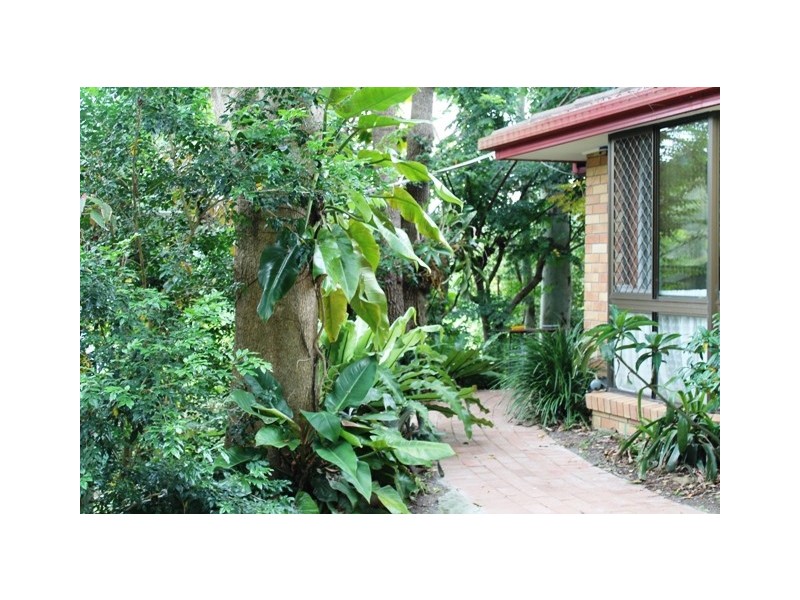 80 Mungindie Court, Mount Nathan QLD 4211