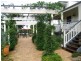 39  Central Ave, Eagle Heights QLD 4271