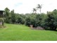 Tamborine Mountain QLD 4272