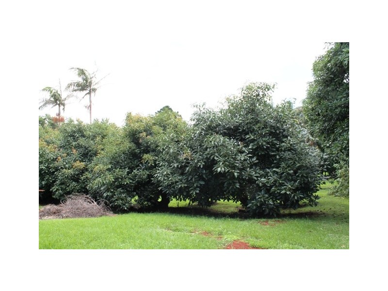 Tamborine Mountain QLD 4272