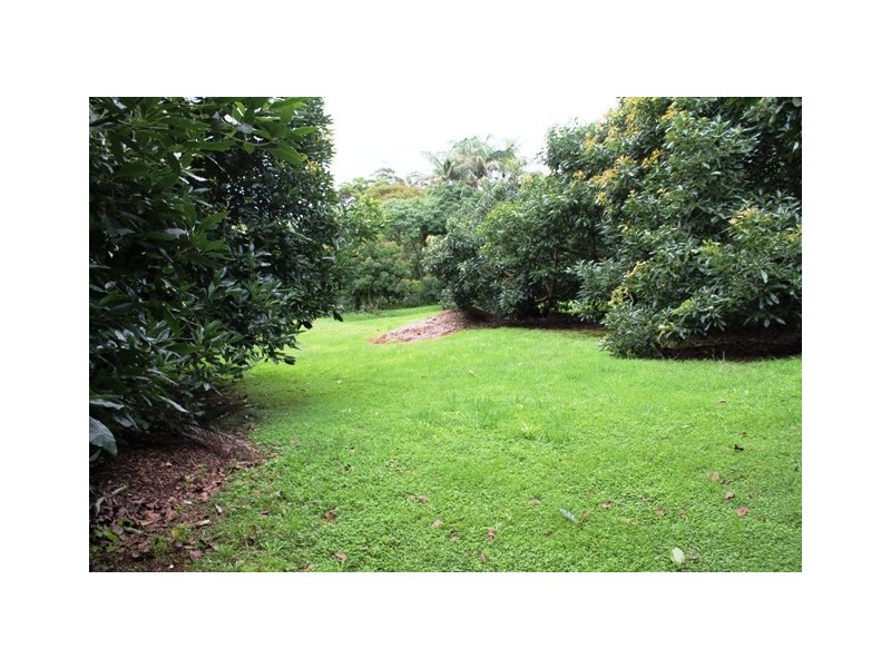 Tamborine Mountain QLD 4272