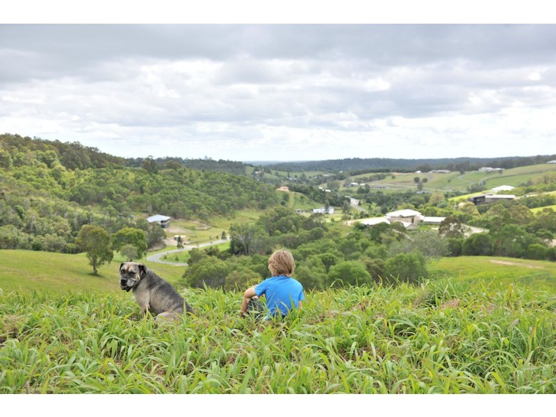 Lot 32 Ellen Grant Drive, Willow Vale QLD 4209