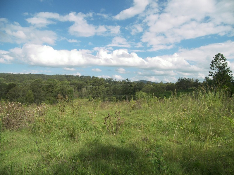 Cedar Vale QLD 4285