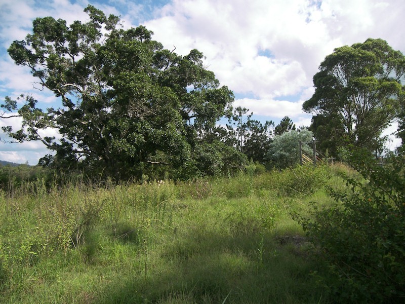 Cedar Vale QLD 4285
