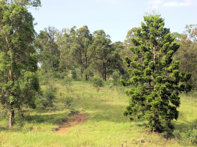Cedar Vale QLD 4285