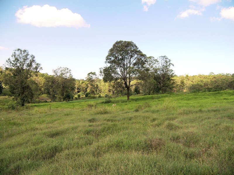Lot 216, 654 to 750 Millstream Road, Cedar Vale QLD 4285