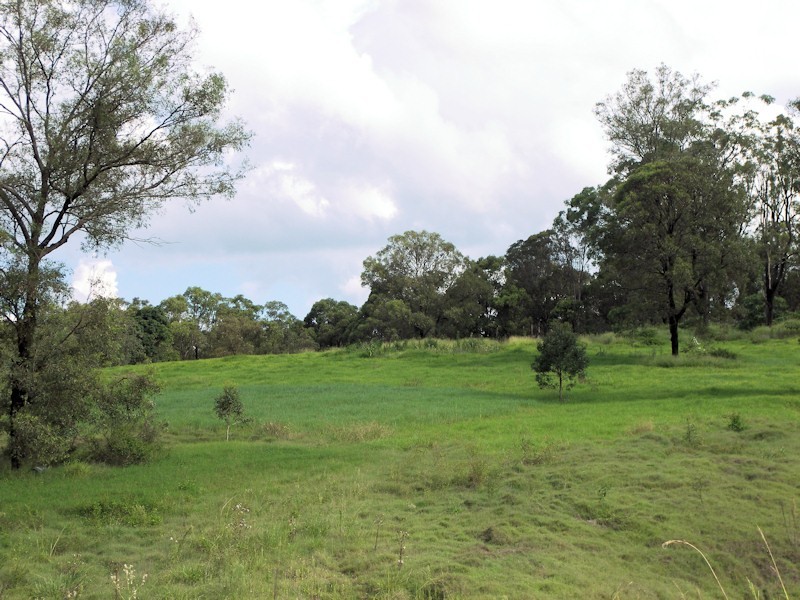 Lot 216, 654 to 750 Millstream Road, Cedar Vale QLD 4285