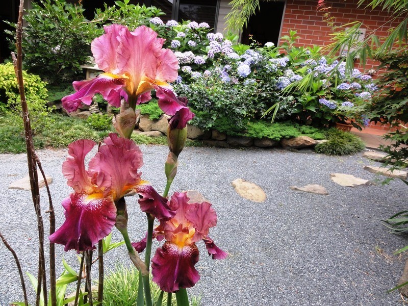 39 / 27-29 Capo Lane, North Tamborine QLD 4272