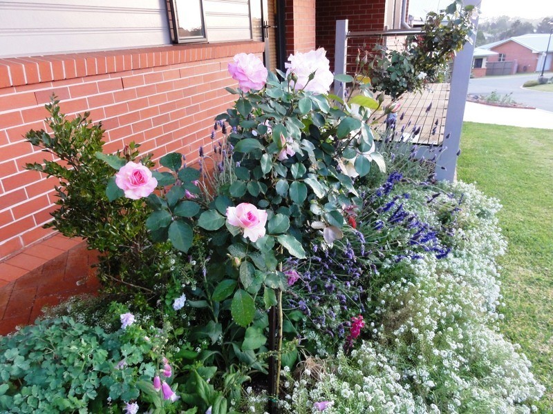 39 / 27-29 Capo Lane, North Tamborine QLD 4272