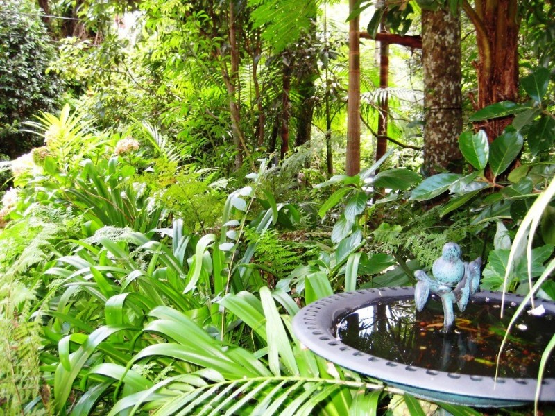 Tamborine Mountain QLD 4272