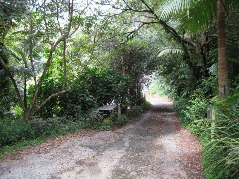Tamborine Mountain QLD 4272