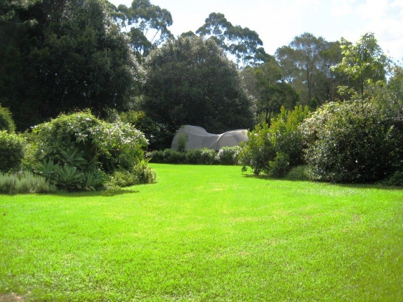 Tamborine Mountain QLD 4272