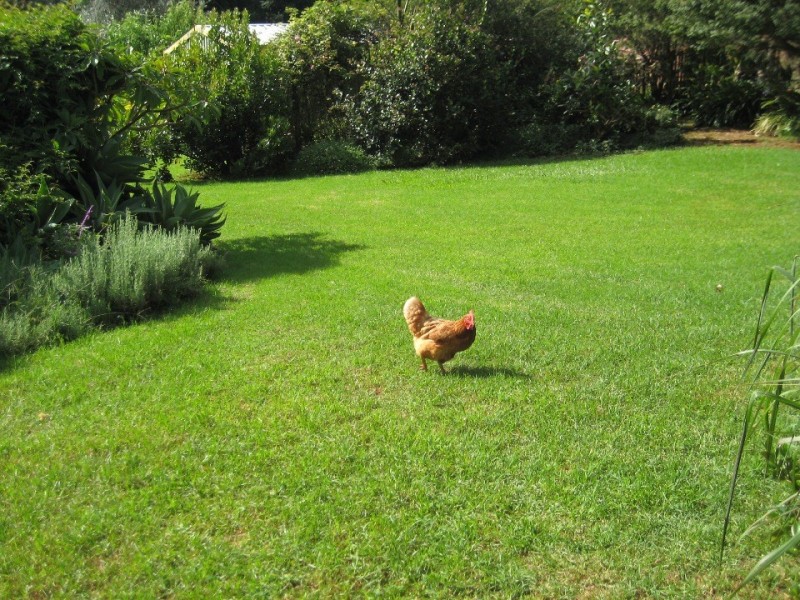 Tamborine Mountain QLD 4272