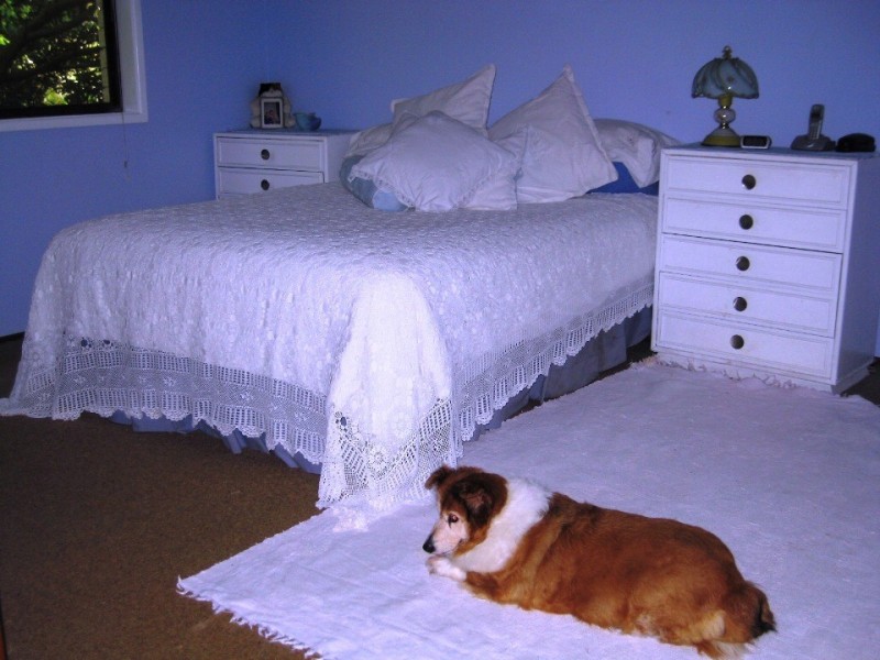 Tamborine Mountain QLD 4272