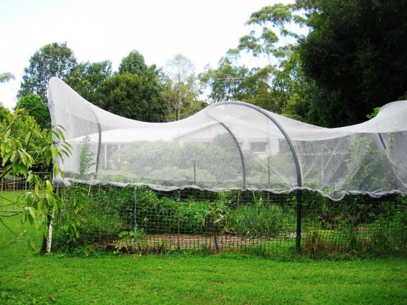 Tamborine Mountain QLD 4272