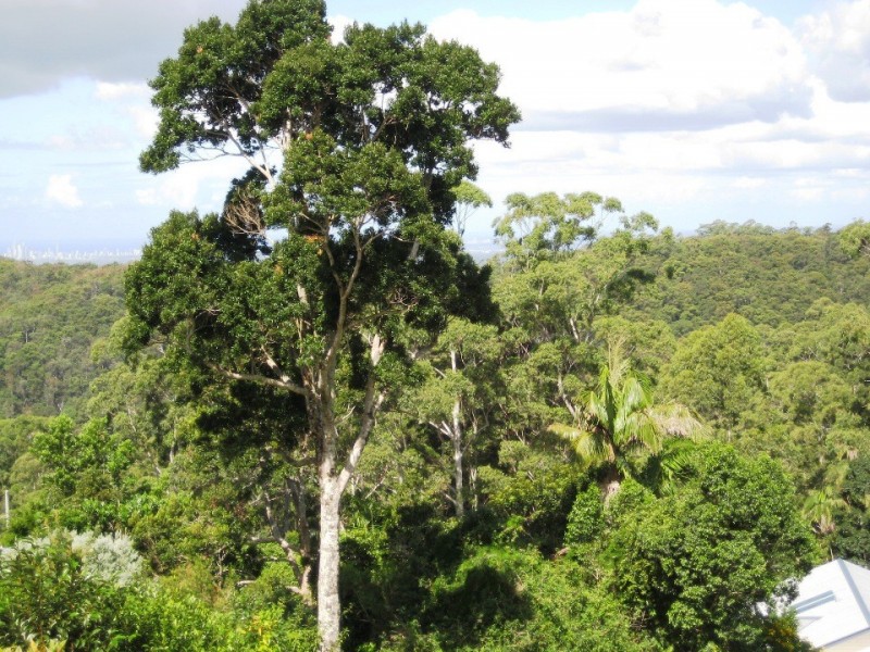 7 Eden Ct, Eagle Heights QLD 4271