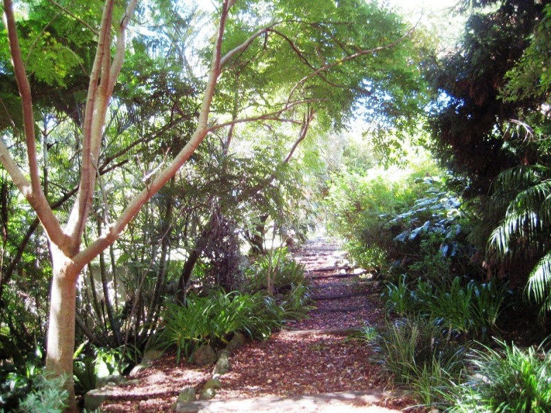 10 Java Ct, Tamborine Mountain QLD 4272