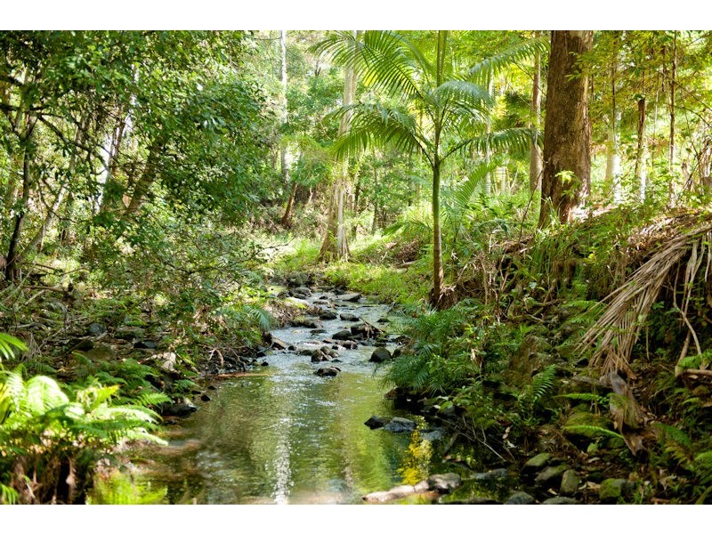 123 Lanes Road, Wongawallan QLD 4210