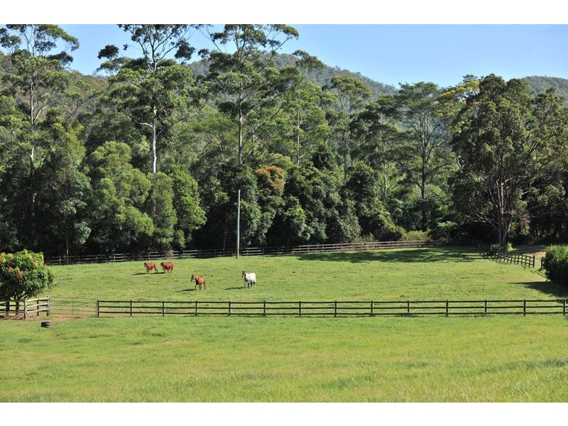 123 Lanes Road, Wongawallan QLD 4210