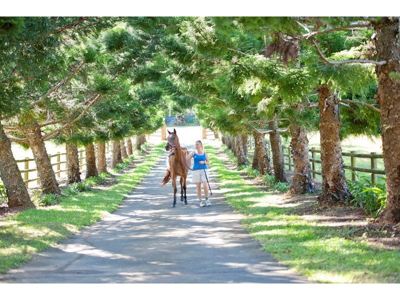 123 Lanes Road, Wongawallan QLD 4210