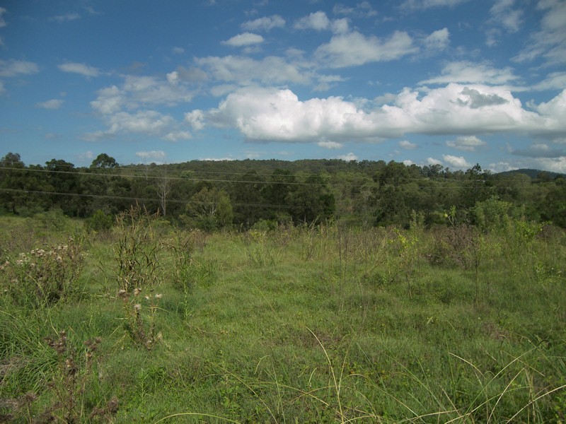 Cedar Vale QLD 4285