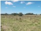 Yatala QLD 4207