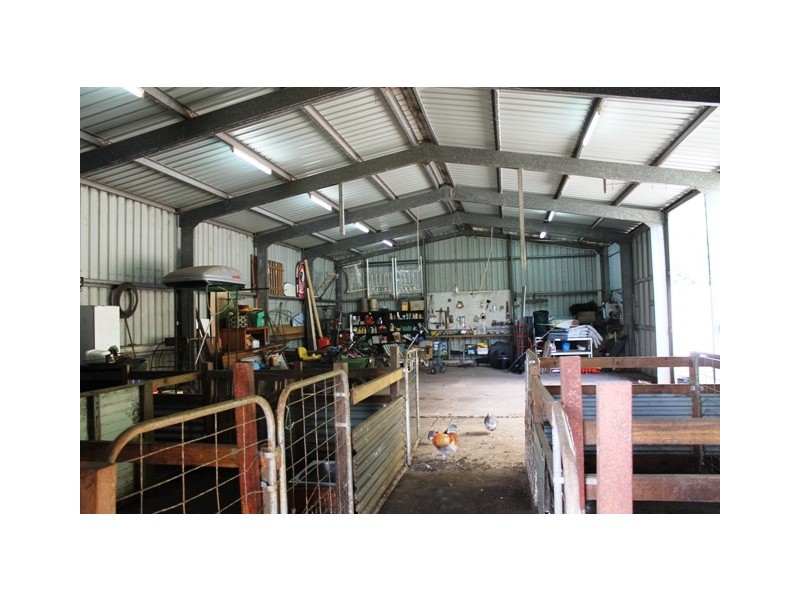 Tamborine Mountain QLD 4272