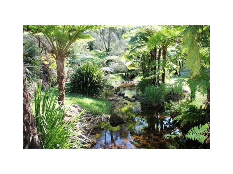 Tamborine Mountain QLD 4272