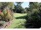 Tamborine Mountain QLD 4272