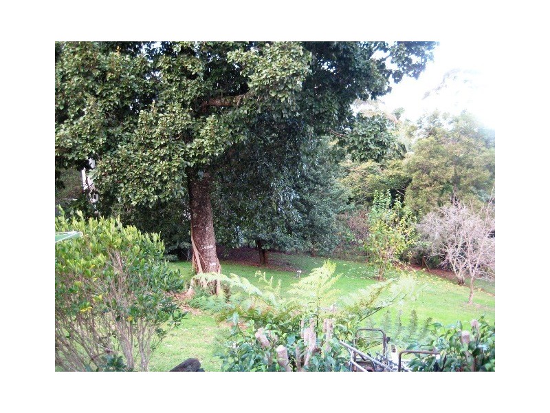 31 Winema Drive, North Tamborine QLD 4272