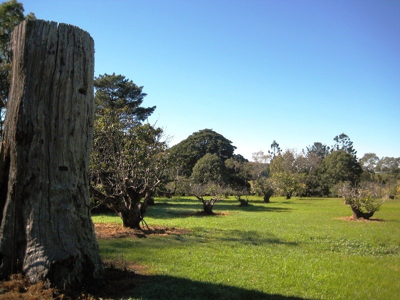 Tamborine Mountain QLD 4272