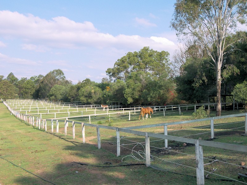 117 Veresdale Scrub Road, Veresdale QLD 4285