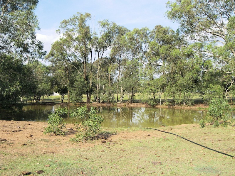 117 Veresdale Scrub Road, Veresdale QLD 4285