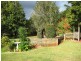 59 Benowa St, Tamborine Mountain QLD 4272