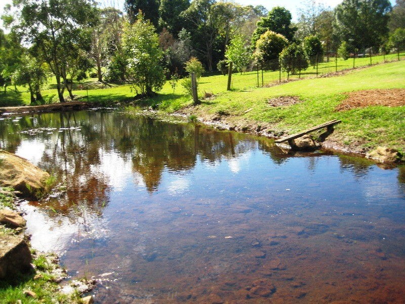 59 Benowa St, Tamborine Mountain QLD 4272
