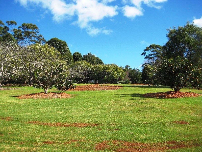 59 Benowa St, Tamborine Mountain QLD 4272