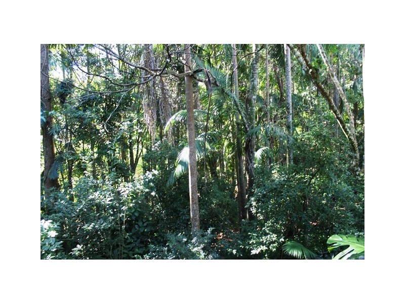 Eagle Heights QLD 4271