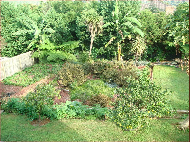 Tamborine Mountain QLD 4272