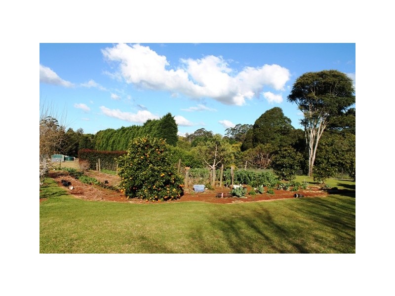 Tamborine Mountain QLD 4272