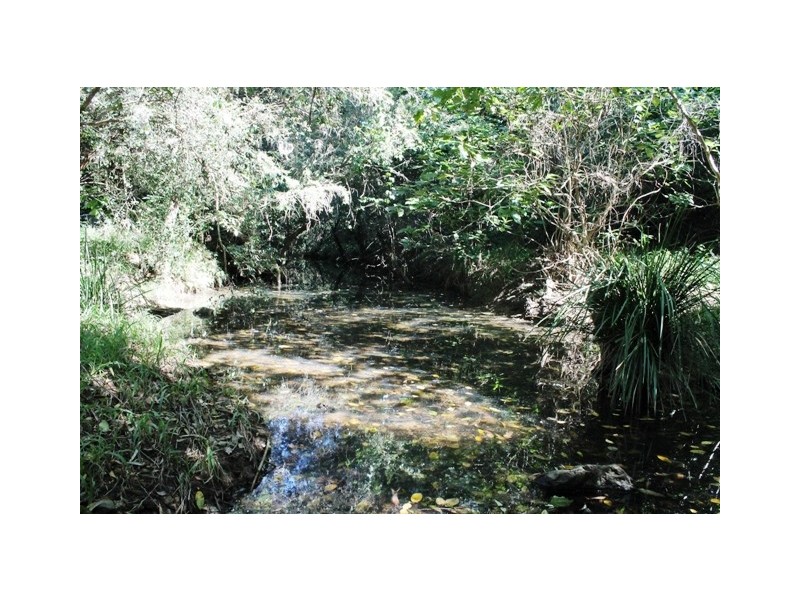 Wongawallan QLD 4210