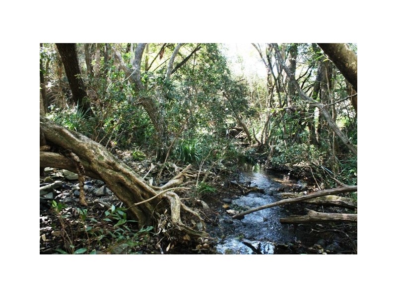 Wongawallan QLD 4210