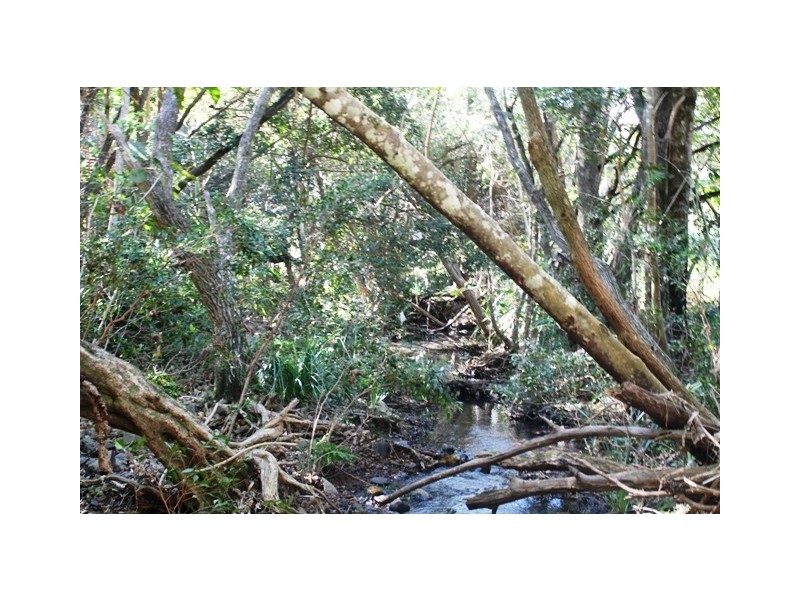 Wongawallan QLD 4210