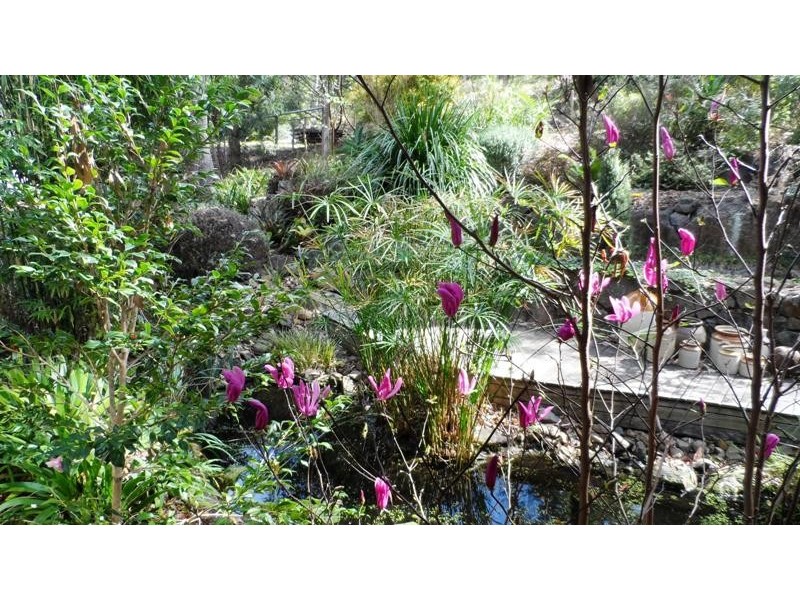 191 Wongawallan Rd, Eagle Heights QLD 4271