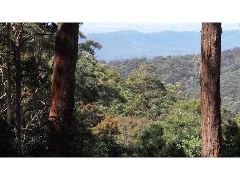 191 Wongawallan Rd, Eagle Heights QLD 4271