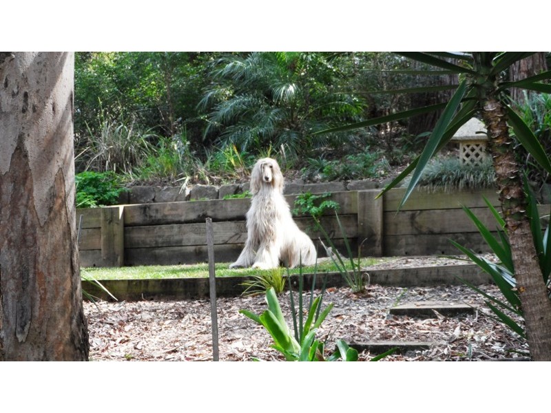 191 Wongawallan Rd, Eagle Heights QLD 4271