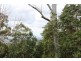 Eagle Heights QLD 4271
